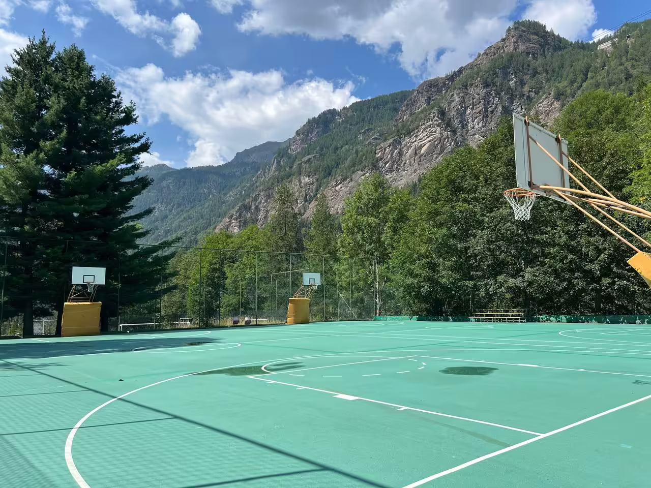 basket — Fondazione OASI OMG